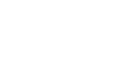 BearMarketBullies